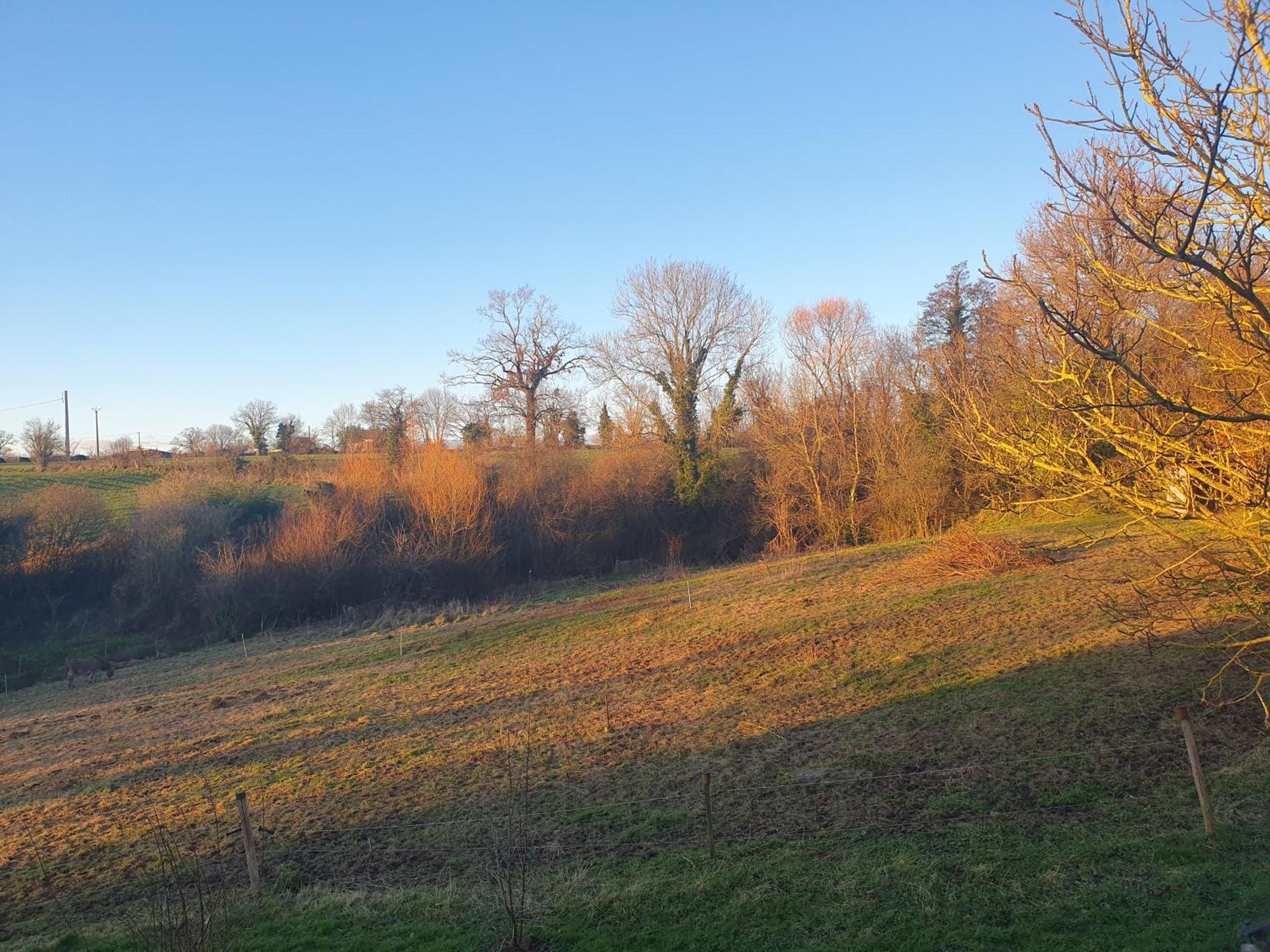 Gites La Vicomterie Ver  Exterior photo